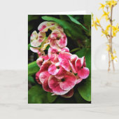 Grüne Erde, Karte (Gelbe Blume)