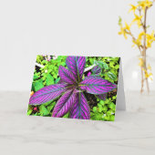 Grüne Erde, Karte (Gelbe Blume)