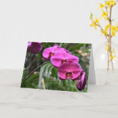 Grüne Erde, Karte (Gelbe Blume)