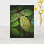 Grüne Erde, Karte (Gelbe Blume)