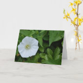 Grüne Erde Karte (Gelbe Blume)