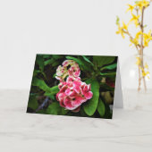 Grüne Erde, Karte (Gelbe Blume)