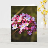 Grüne Erde, Karte (Gelbe Blume)