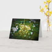 Grüne Erde, Karte (Gelbe Blume)