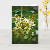 Grüne Erde, Karte (Gelbe Blume)