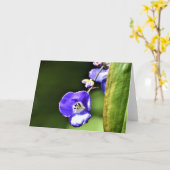 Grüne Erde, Karte (Gelbe Blume)