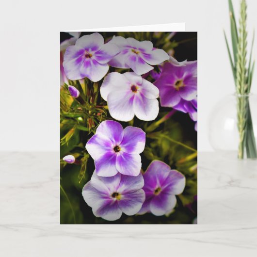 Grüne Erde, Karte (Vorderseite)