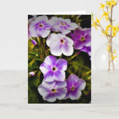 Grüne Erde, Karte (Gelbe Blume)