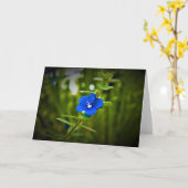 Grüne Erde, Karte (Gelbe Blume)