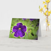 Grüne Erde, Karte (Gelbe Blume)