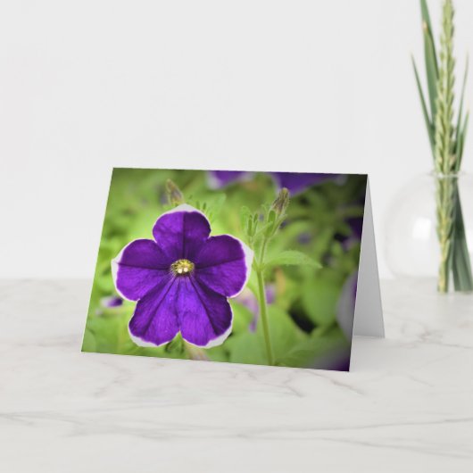 Grüne Erde, Karte (Vorderseite)