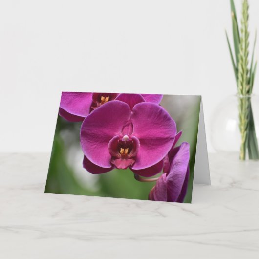 Grüne Erde, Karte (Vorderseite)