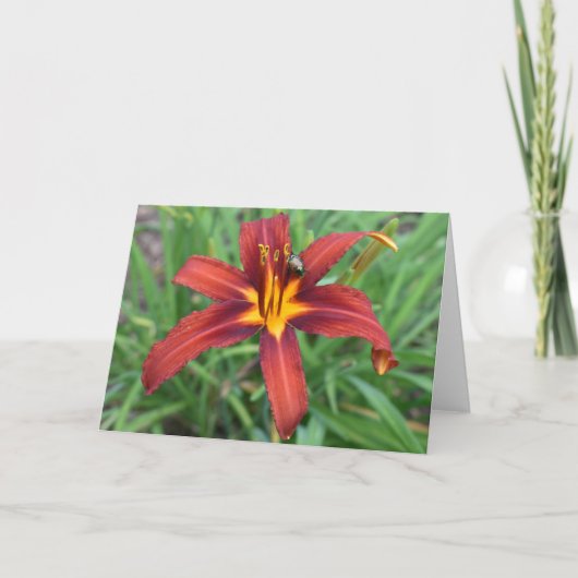 Grüne Erde Karte (Vorderseite)