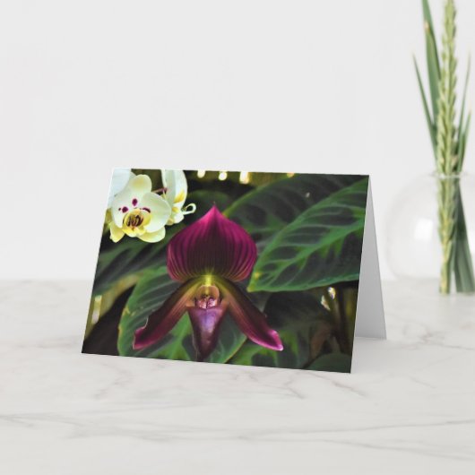 Grüne Erde, Karte (Vorderseite)