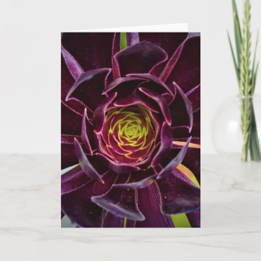 Grüne Erde, Karte (Vorderseite)