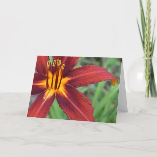 Grüne Erde Karte (Vorderseite)