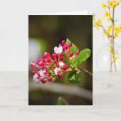 Grüne Erde, Karte (Gelbe Blume)