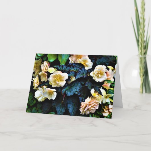 Grüne Erde, Karte (Vorderseite)