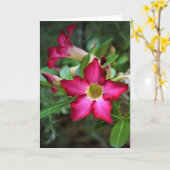 Grüne Erde, Karte (Gelbe Blume)