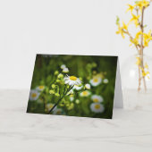 Grüne Erde, Karte (Gelbe Blume)