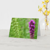 Grüne Erde Karte (Gelbe Blume)