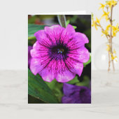 Grüne Erde, Karte (Gelbe Blume)