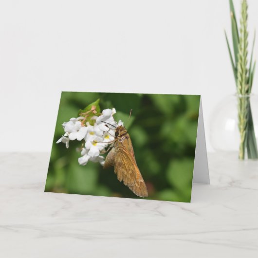 Grüne Erde Karte (Vorderseite)