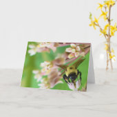 Grüne Erde Karte (Gelbe Blume)