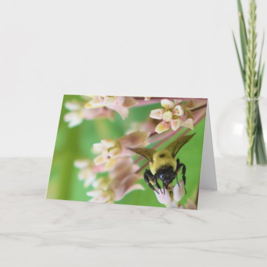 Grüne Erde Karte (Vorderseite)