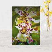 Grüne Erde, Karte (Gelbe Blume)