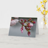 Grüne Erde Karte (Gelbe Blume)