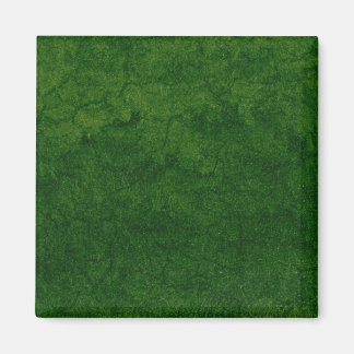 Grüne Erde Magnet