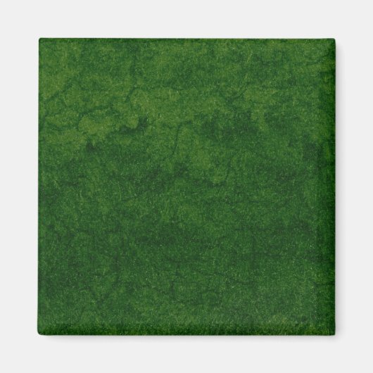 Grüne Erde Magnet (Vorne)