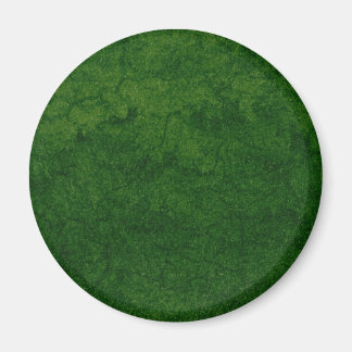 Grüne Erde Magnet