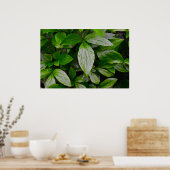 Grüne Erde Poster (Küche)