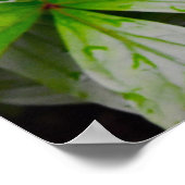 Grüne Erde Poster (Ecke)