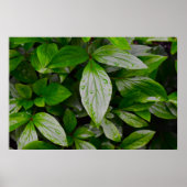 Grüne Erde Poster (Vorne)