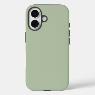 Grüne Farbe der hellen Seite iPhone 16 Hülle