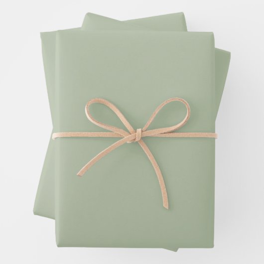 Grüne Farbe der hellen Seite Geschenkpapier Set (Beispiel)