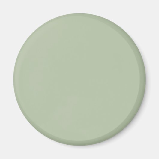 Grüne Farbe der hellen Seite Magnet (Vorne)