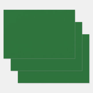 Grüne Farbe des Waldkieferns Geschenkpapier Set