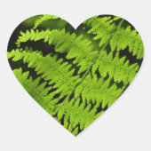 Grüne Farn Herz-Aufkleber (Vorderseite)