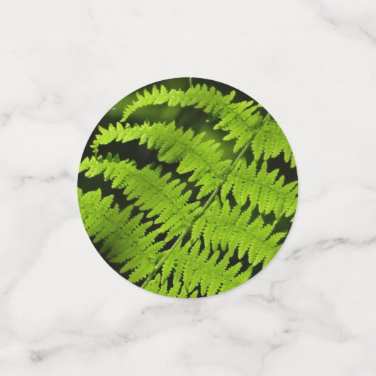 Grüne Farn Konfetti (Klein Vorderseite)
