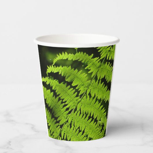 Grüne Farn Pappbecher (Rückseite)