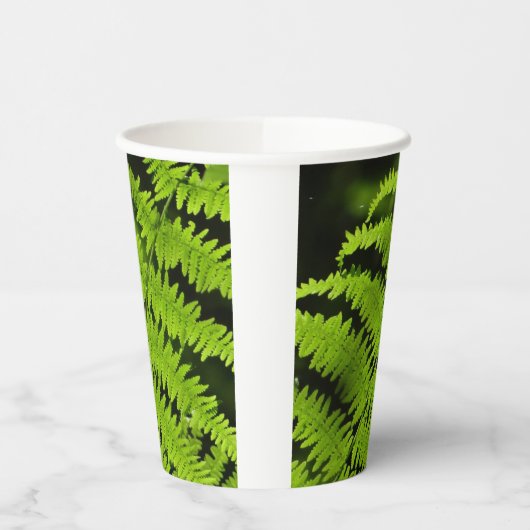 Grüne Farn Pappbecher (Links)