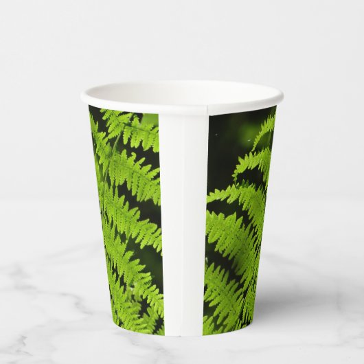 Grüne Farn Pappbecher (Rechts)