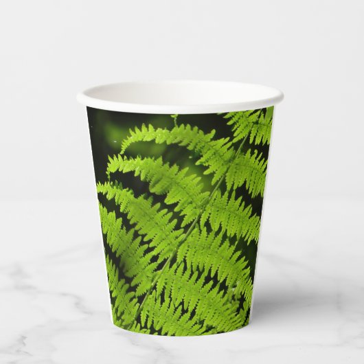 Grüne Farn Pappbecher (Vorderseite)