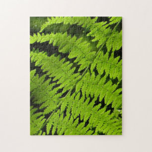 Grüne Farn Puzzle