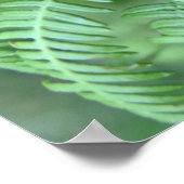 Grüne Farnblätter Natürliches Muster Poster (Ecke)