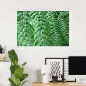 Grüne Farnblätter Natürliches Muster Poster (Heimbüro)
